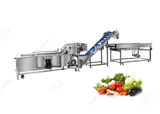 China 380V CE Certified Stainless Steel Commercial Fruit And Vegetable Washing Processing Line supplier