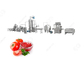 1T/H Industrial Tomato Paste Processing Machine Equipment Tomatoes Paste Production Line supplier